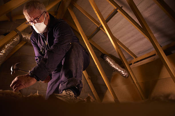 Trusted Trussville, AL Insulation Contractor Experts